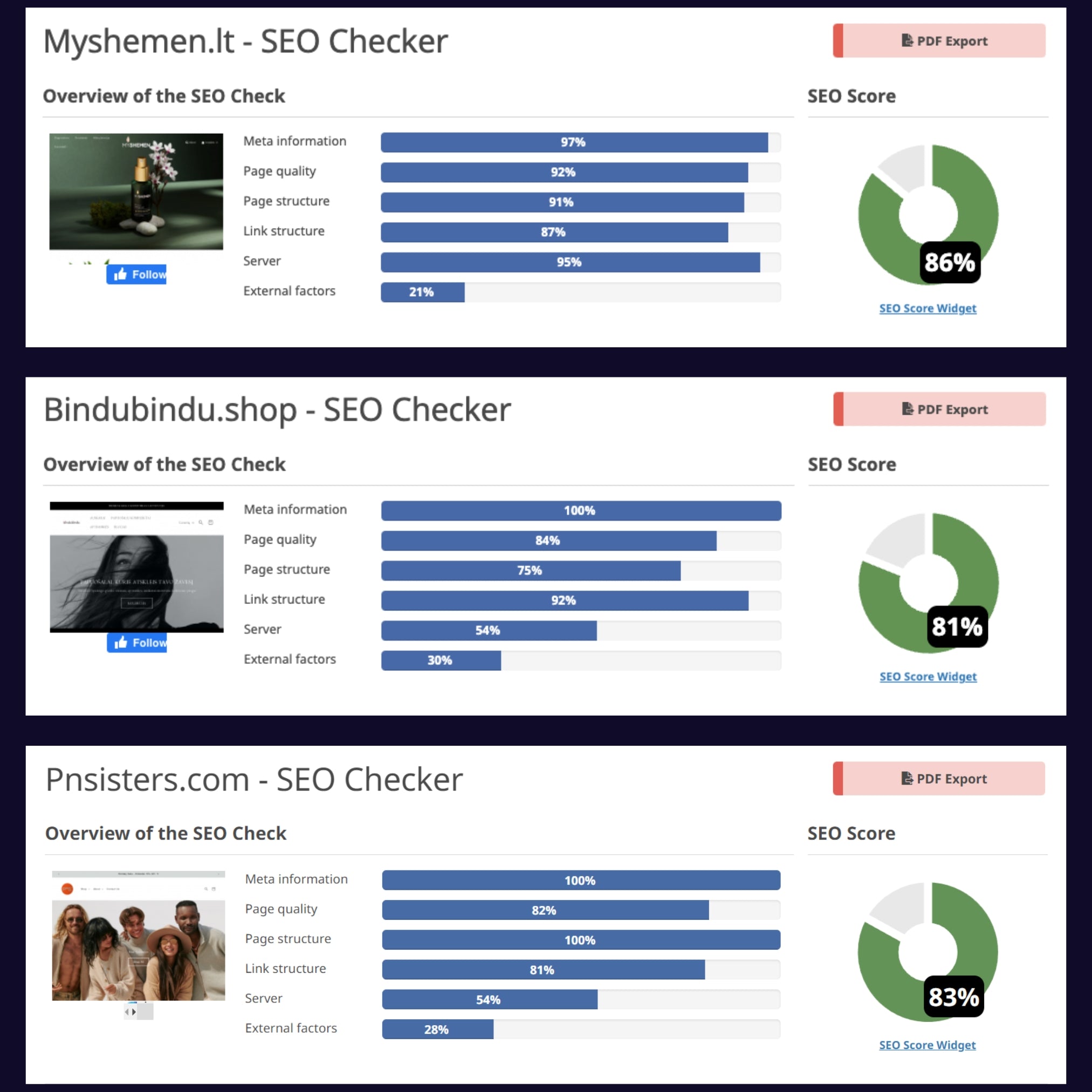 vidinio seo paslaugu paketo rezultatai