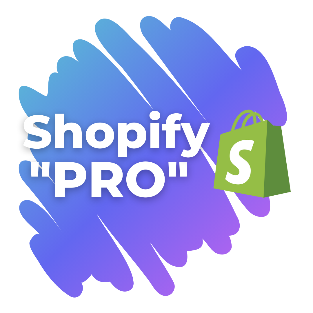 mokamas internetines shopify parduotuves valdymo kursas