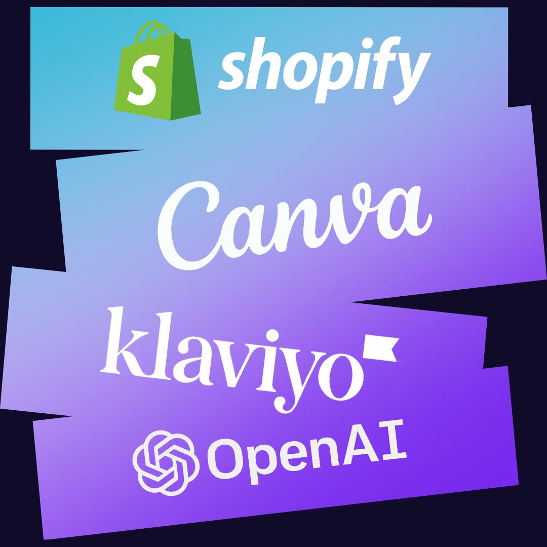 nemokas shopify dropshipping kursas