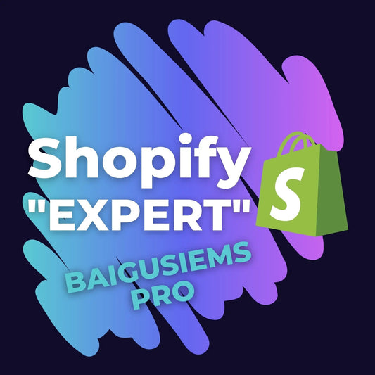 nemokamas internetines shopify parduotuves valdymo kursas pazengusiems