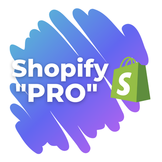 mokamas internetines shopify parduotuves valdymo kursas